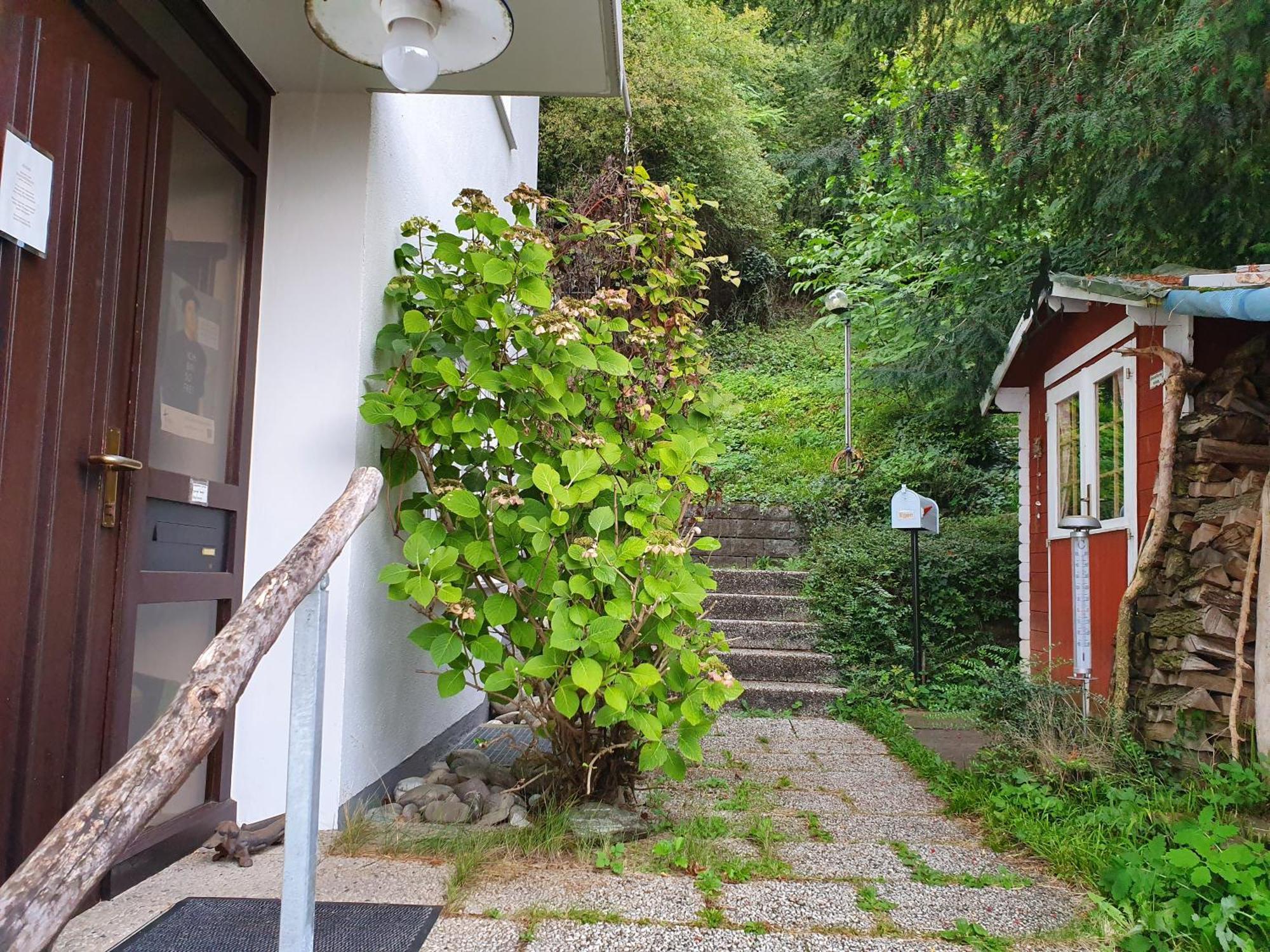 Regio Basiliensis Apartment Grenzach-Wyhlen Bagian luar foto