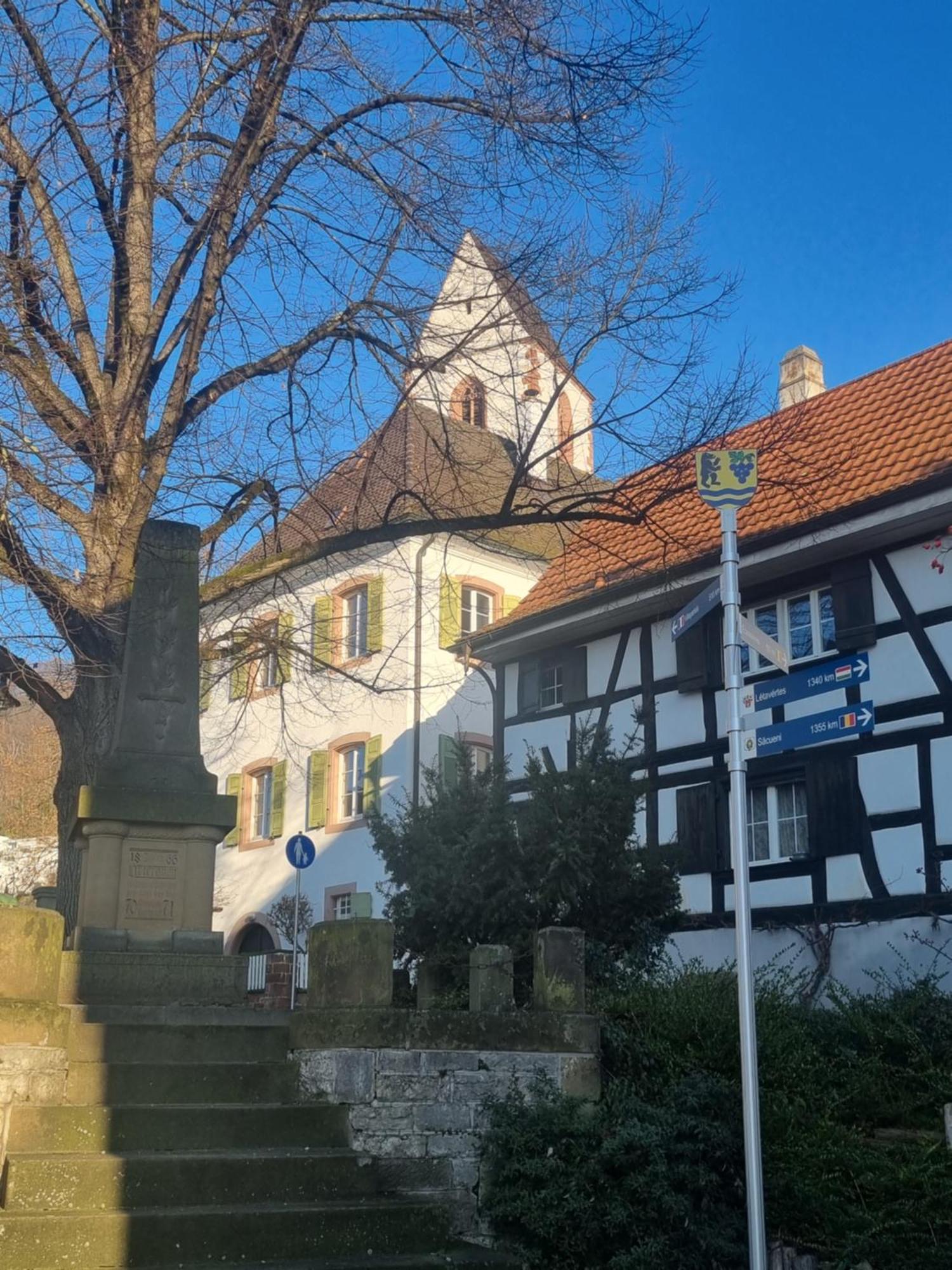 Regio Basiliensis Apartment Grenzach-Wyhlen Bagian luar foto